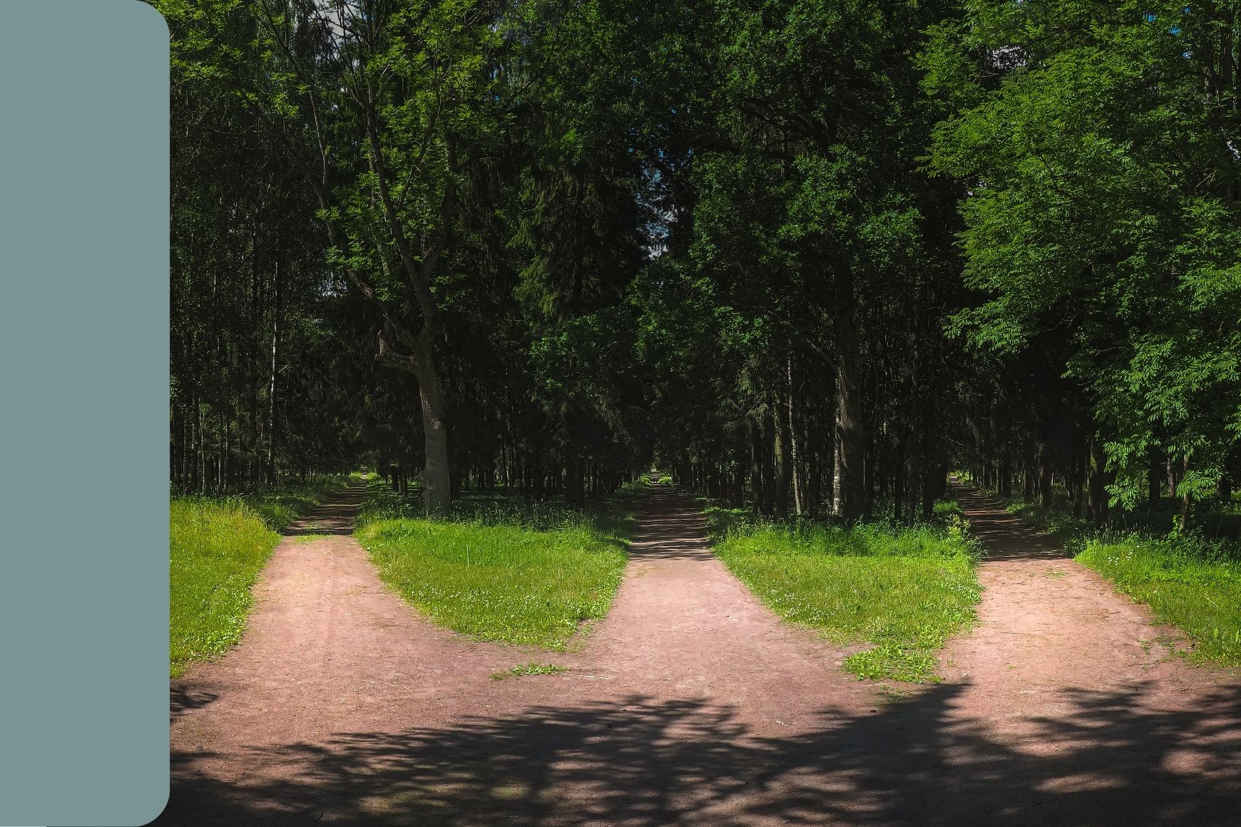 Three paths leading into a forrest